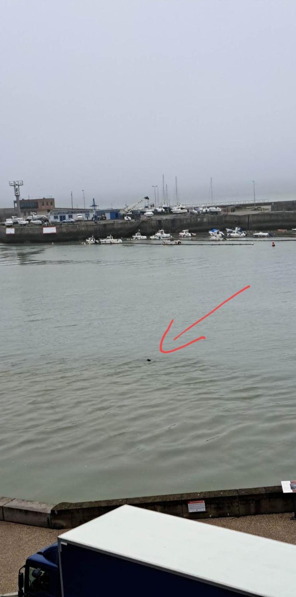 O'3 Ports Apartment Le Treport Bilik gambar